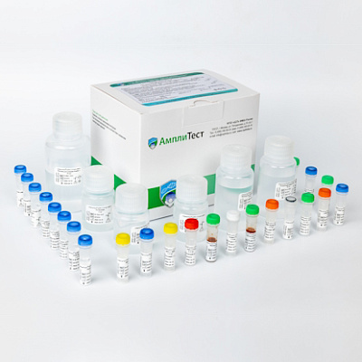 АмплиТест® БЛРС CTX-M LAMP